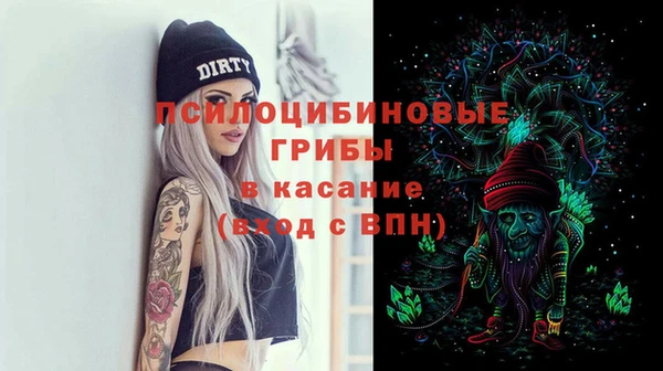 хмурый Горняк