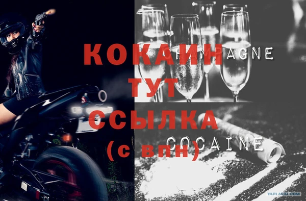 хмурый Горняк